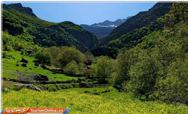 جاذبه های گردشگری باشت جاذبه های گردشگری باشت