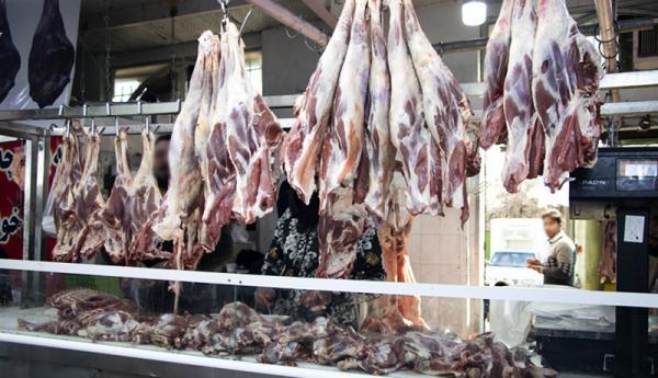 قیمت گوشت 4 اردیبهشت 1401، سرانه مصرف گوشت در ایران نصف شد