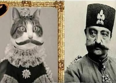 مشهورترین گربه تهران را بشناسید